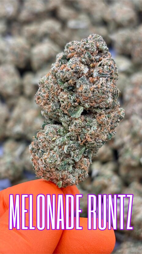 CBD Hanfblüten MELONADE RUNTZ – Eine Fruchtige Explosion aus Wassermelone & Zitrus mit Tiefer Entspannung